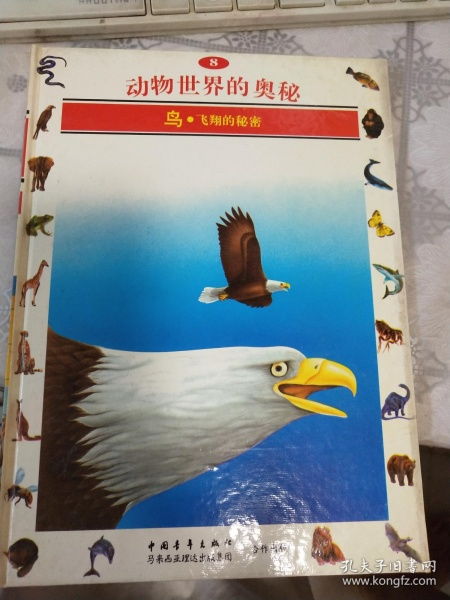 全部商品 北廣傳媒書店 孔夫子舊書網(wǎng)